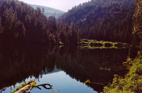 A serene lake surrounded by dense forests and mountains, reflecting the trees and sky in calm waters.