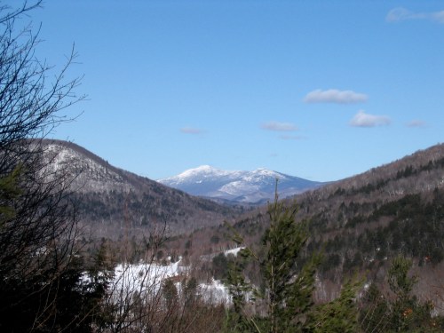 A scenic view of snow-capped mountains surrounded by trees under a clear blue sky with a few clouds.