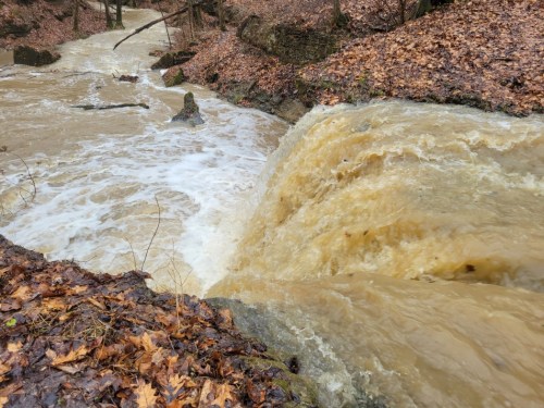 A rushing river cascades over a rocky ledge, surrounded by autumn leaves and muddy banks.