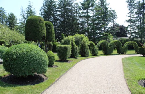 A landscaped garden featuring neatly trimmed hedges and a winding gravel path surrounded by trees.