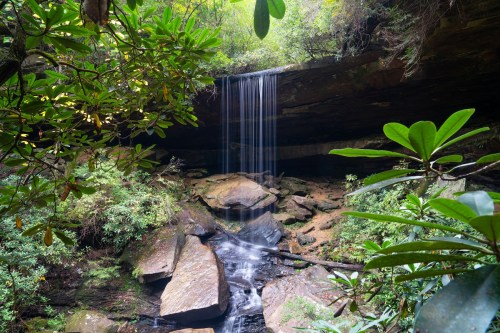 A serene waterfall cascades over rocks, surrounded by lush greenery and vibrant foliage in a tranquil forest setting.