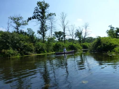 A person paddles a canoe through a serene, green landscape with trees reflecting in the calm water.