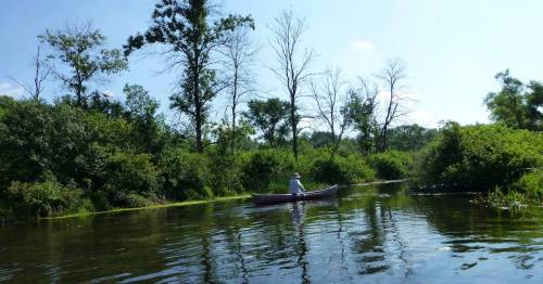 A person in a canoe paddles through a serene, green landscape with trees and calm water under a clear blue sky.
