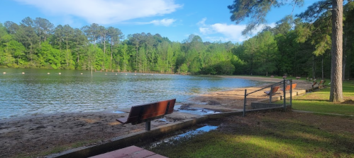 A serene lakeside view with sandy shore, green trees, and benches along the water under a clear blue sky.