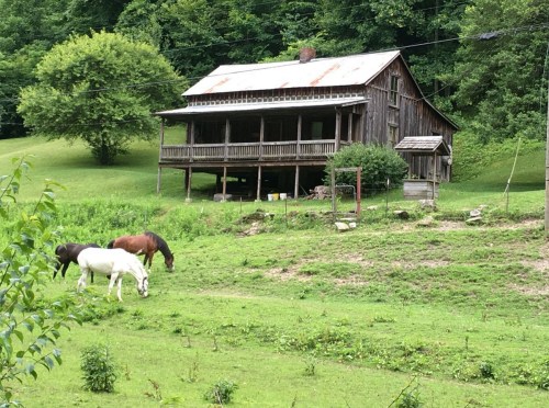 A rustic wooden house with a porch, surrounded by green grass and two horses grazing nearby.