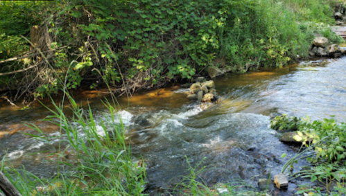 A serene stream flows through lush greenery, with rocks partially submerged in the water.