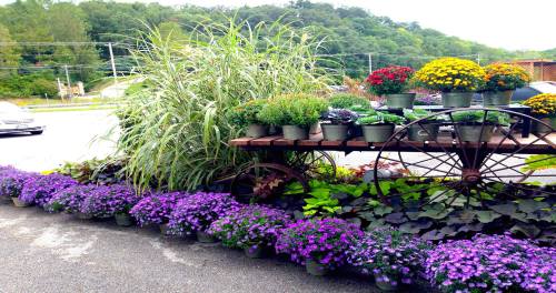 A vibrant display of potted flowers and plants arranged on a wooden cart, surrounded by purple blooms and greenery.