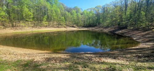 A serene pond surrounded by lush green trees under a clear blue sky, reflecting the landscape in calm water.