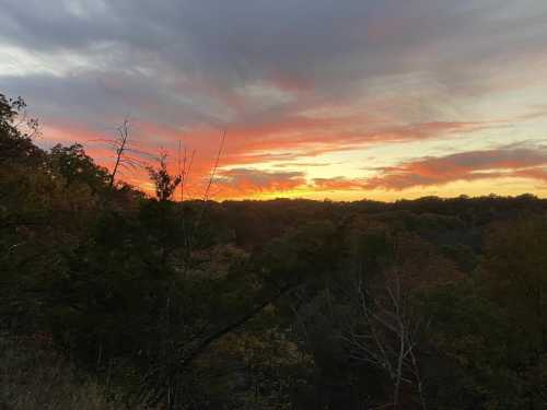 A vibrant sunset over a forested landscape, with colorful clouds and silhouettes of trees in the foreground.