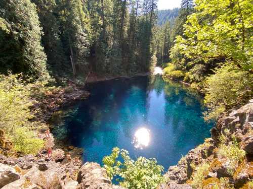 A serene blue lake surrounded by lush green trees and rocky shores, reflecting sunlight in a tranquil forest setting.