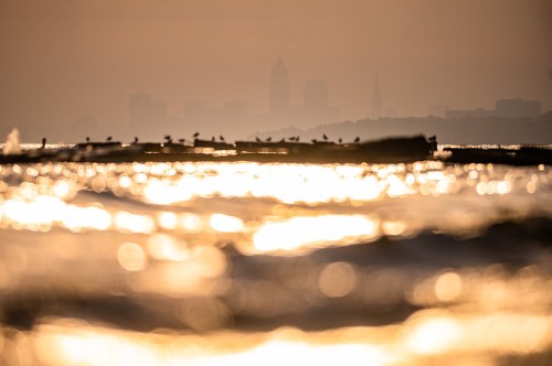 A hazy skyline is visible in the background, with shimmering water and silhouettes of birds in the foreground.
