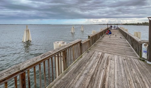 A wooden pier extends over calm water, with people at the end and birds scattered along the surface. Cloudy sky above.