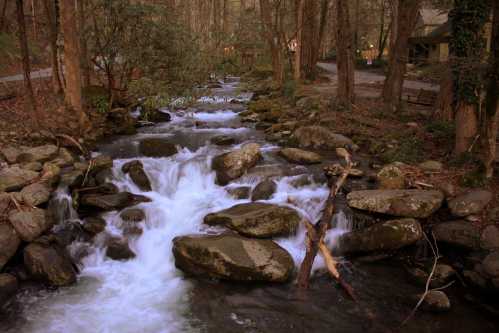 A serene stream flows over rocks, surrounded by trees, with a faint path and cabin visible in the background.