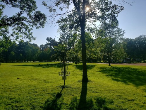 A sunny park scene with green grass, trees, and a disc golf basket in the foreground casting a long shadow.