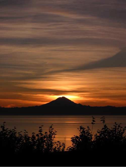 Silhouette of a mountain against a vibrant sunset over calm waters, with dark foliage in the foreground.