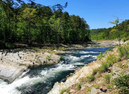 A serene river flows through rocky terrain, surrounded by lush green trees under a clear blue sky.