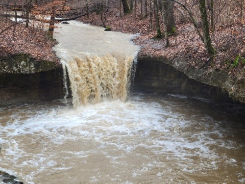 A small waterfall cascades into a muddy river, surrounded by trees and fallen leaves in a wooded area.