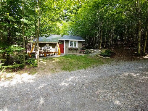 A small cabin surrounded by trees, with a gravel path leading up to it and firewood stacked on the porch.