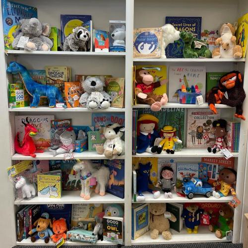 A colorful bookshelf filled with children's books and plush toys, including animals and story characters.