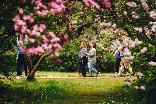 A group of people walking along a path surrounded by blooming flowers in a lush garden.