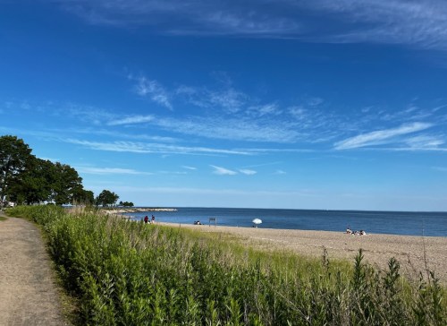 A sandy beach with a clear blue sky, green grass, and a few people enjoying the sun near the water's edge.