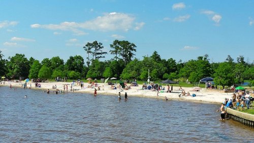 A sunny beach scene with people enjoying the water, sandy shore, and green trees in the background.