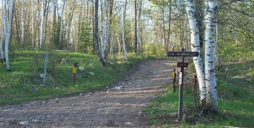 A dirt path through a forest with signs directing to a parking lot, surrounded by green grass and trees.