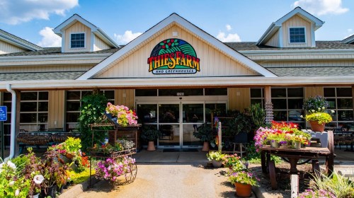 A charming greenhouse and farm shop with colorful flowers and plants outside, featuring a welcoming entrance.