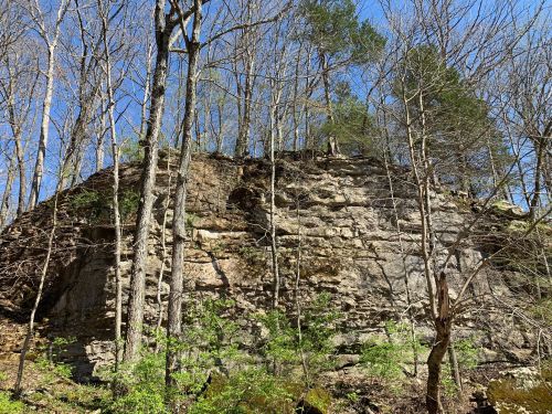A rocky cliff surrounded by bare trees and greenery under a clear blue sky.