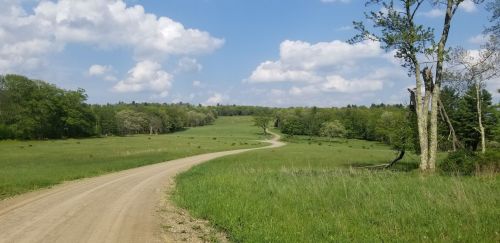 A winding dirt road leads through a lush green field under a blue sky with fluffy white clouds.