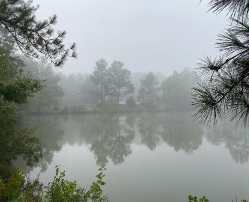 A serene, foggy landscape with trees reflected in a calm lake, creating a tranquil atmosphere.