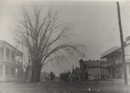 Black and white photo of a quiet street lined with old buildings and a large tree, evoking a historic atmosphere.