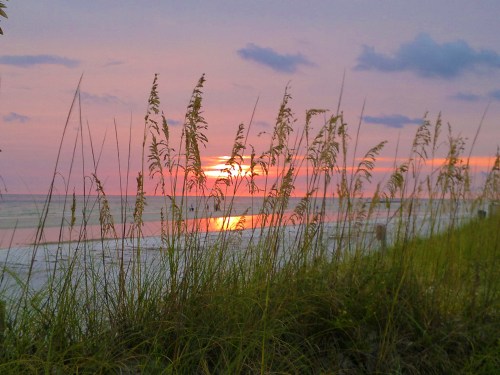Sunset over the ocean, with tall grass in the foreground and a colorful sky reflecting on the water.
