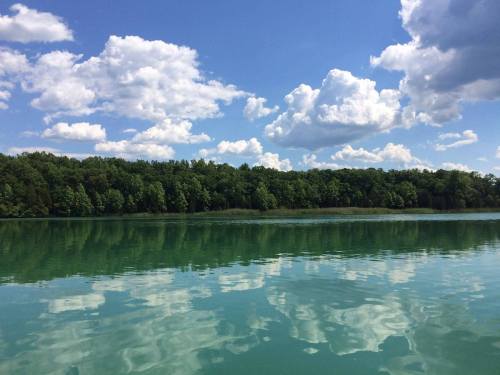 A serene lake reflecting fluffy clouds and lush green trees under a bright blue sky.