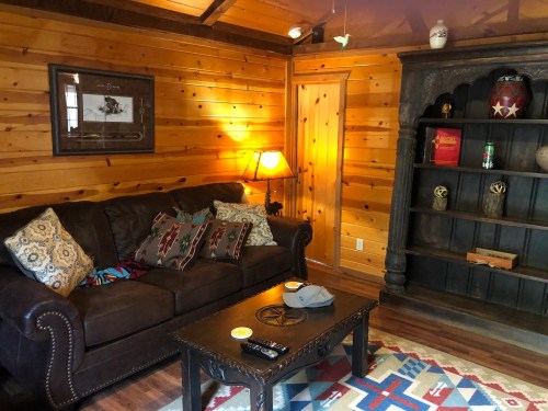 Cozy cabin interior with a brown leather sofa, wooden walls, a lamp, and a decorative bookshelf.