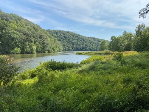 A serene river flows through lush greenery, surrounded by rolling hills under a clear blue sky.