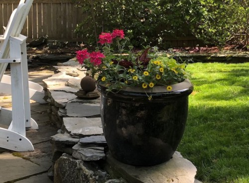 A black pot filled with colorful flowers sits on a stone path in a lush green garden.