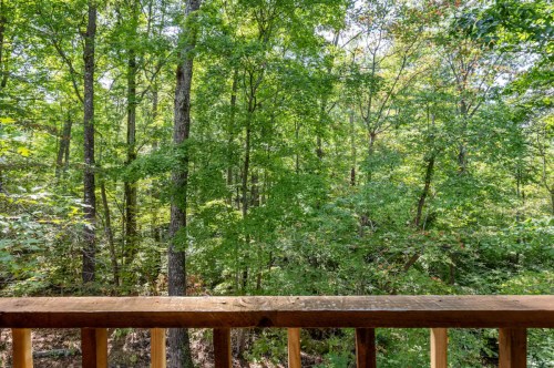 A wooden railing overlooks a lush green forest with tall trees and dappled sunlight filtering through the leaves.