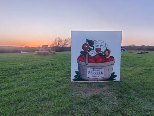 A sign featuring a basket of strawberries with a sunset in the background, set in a grassy field.