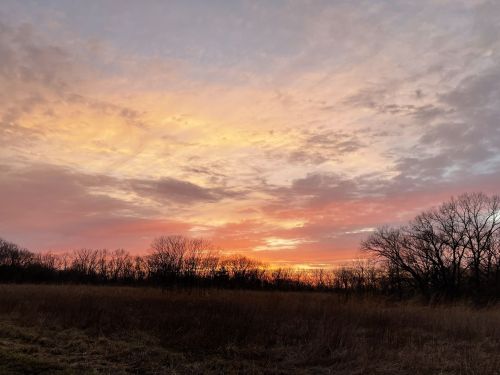 A vibrant sunset paints the sky with orange and pink hues over a grassy field and silhouetted trees.