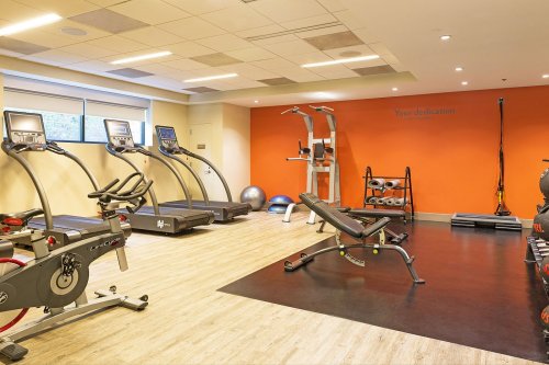 A modern gym with treadmills, a stationary bike, weights, and a workout bench against an orange wall.