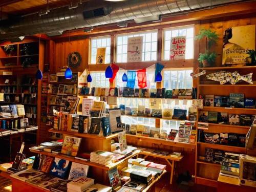 A cozy bookstore interior with wooden shelves filled with books, colorful hanging lights, and large windows.