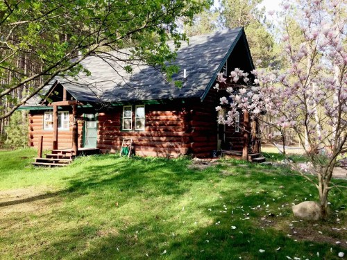 A rustic log cabin surrounded by green grass and blooming trees in a serene forest setting.