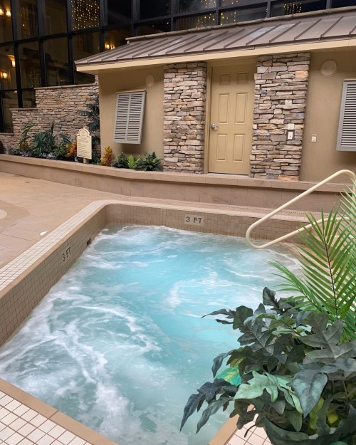 A relaxing indoor hot tub with bubbling water, surrounded by stone walls and tropical plants.