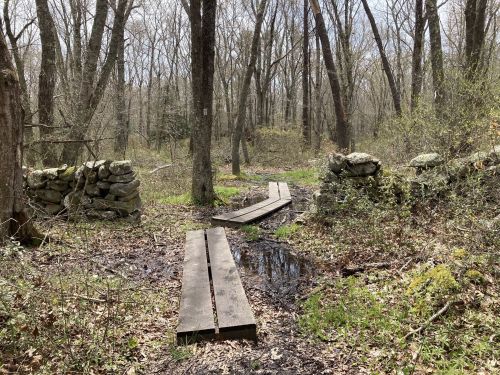 A wooden path crosses a muddy area in a forest, surrounded by trees and stone walls.