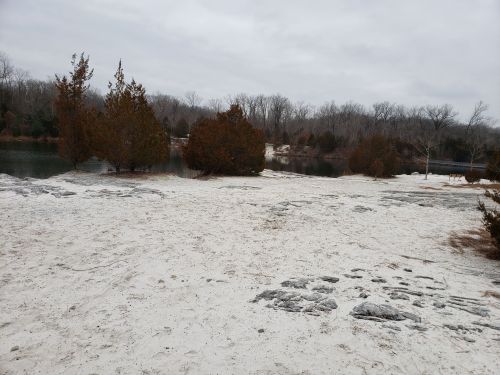 A sandy area with sparse trees near a calm pond, under a cloudy sky.