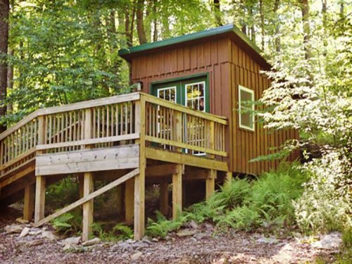 A small wooden cabin on stilts surrounded by trees and ferns, featuring a deck and large windows.