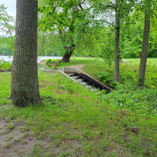 A serene park scene featuring a small stream flowing through greenery, with trees and a lake in the background.