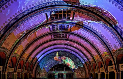 A grand hall with colorful projections of marine life on its ornate ceiling and arches.