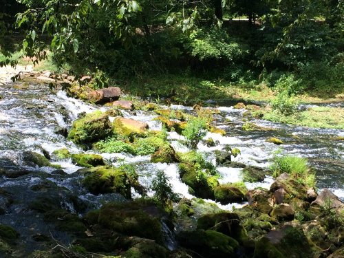 A serene river flows over moss-covered rocks, surrounded by lush greenery and trees in a peaceful natural setting.